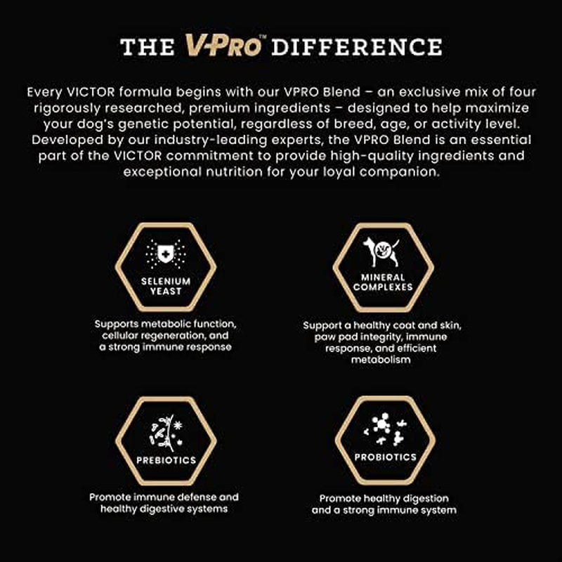 Super Premium Dog Food – Select Ocean Fish Formula with Salmon – Omega-3 and Omega-6 Enriched Gluten-Free Dry Kibble for All Normally Active Dogs of All Life Stages, 5Lbs